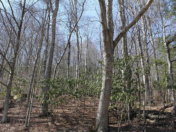 5th image of 1625 Gauley River Rd
