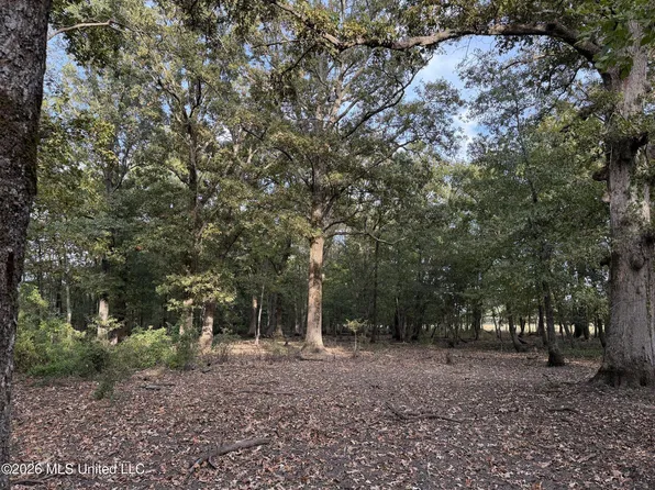 Cotton Loop, Sledge, MS 38670