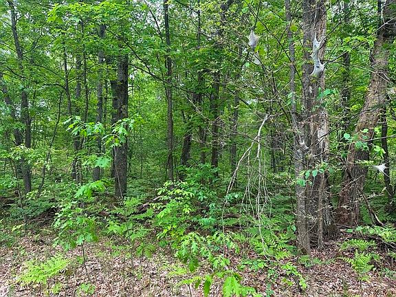 4th image of Easement Rd