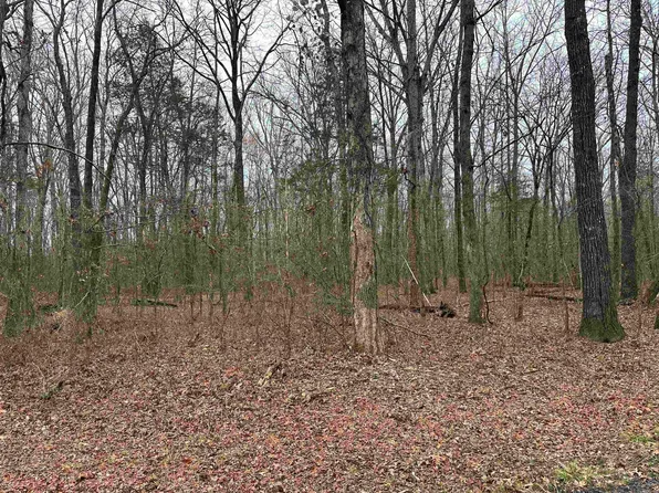 17 Woodland W, Higden, AR 72067