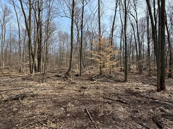 Lake Dr, Allegan, MI 49010