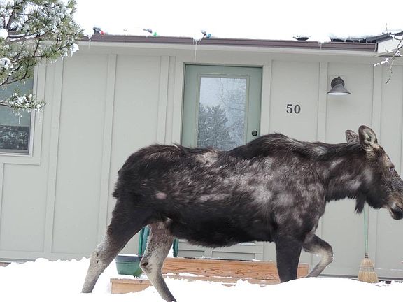 4th image of 50 Wapiti Dr