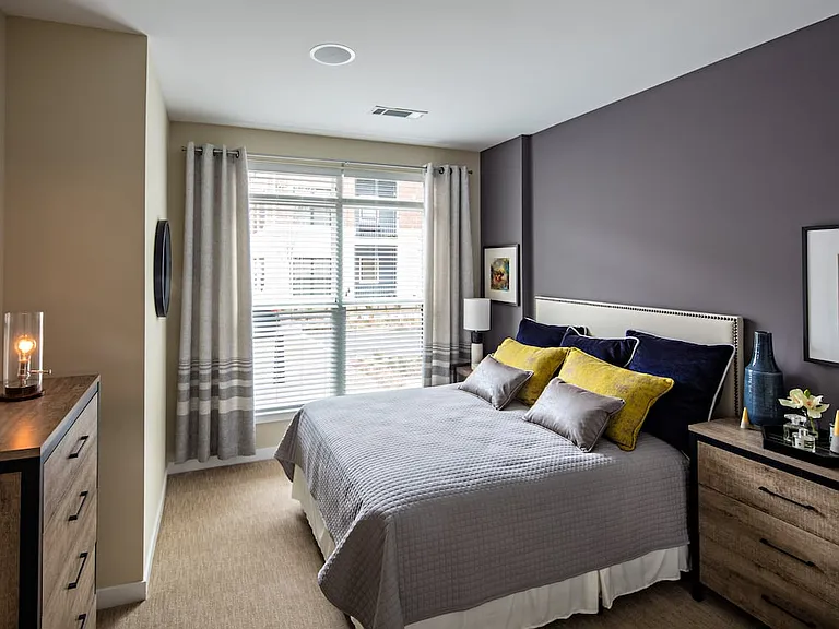 Traditional Collection Bedroom with carpet