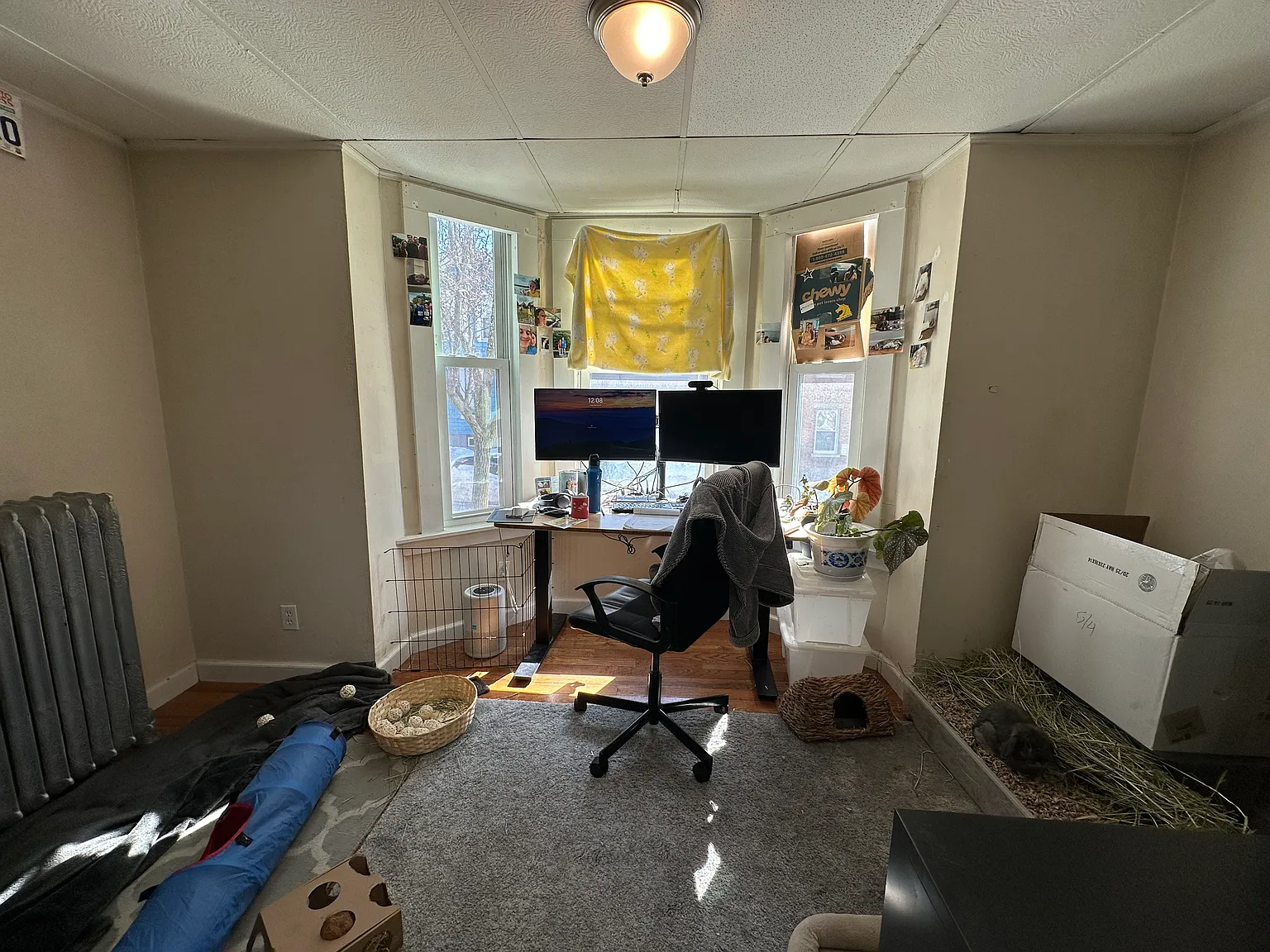 3 bed, $2,800 — Photo 3