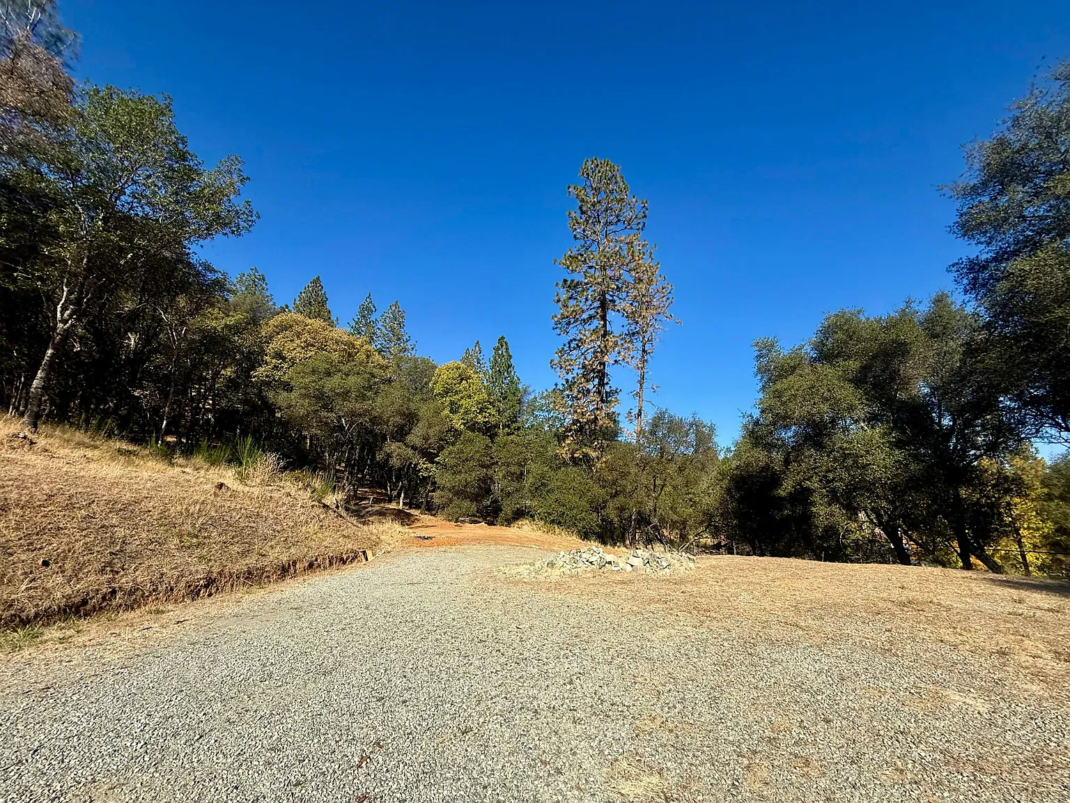 11196 Pleasant Valley Rd - 1 — Photo 4