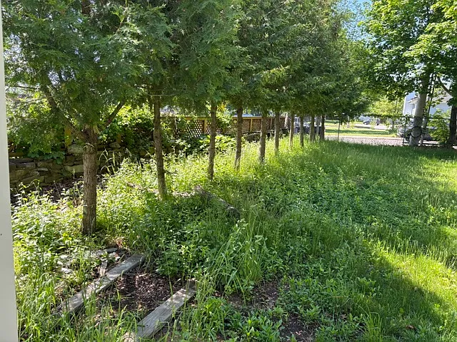 36 Monty St — Photo 10