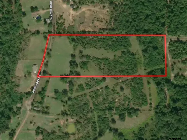 Rosie Wady Rd, Gladewater, TX 75647