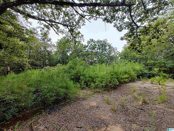 5th image of 160 Circle Dr #18 & 19