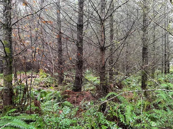 3 xx Oppelt Road, Onalaska, WA 98570