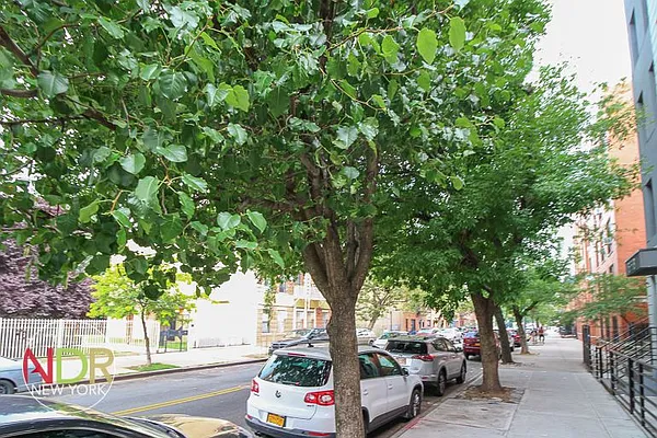 Rented by Next Door Realty NYC | media 20