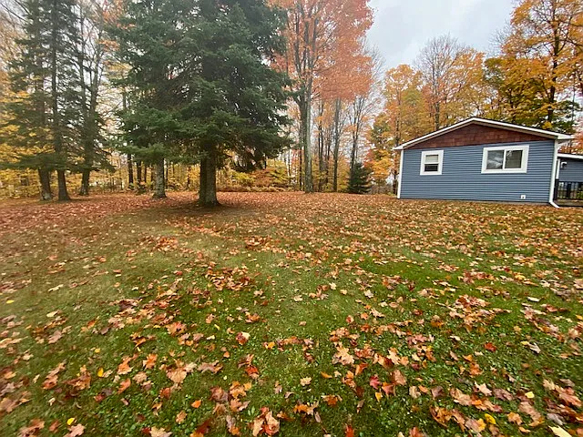 1 bed, 620 sqft, $1,200 — Photo 2