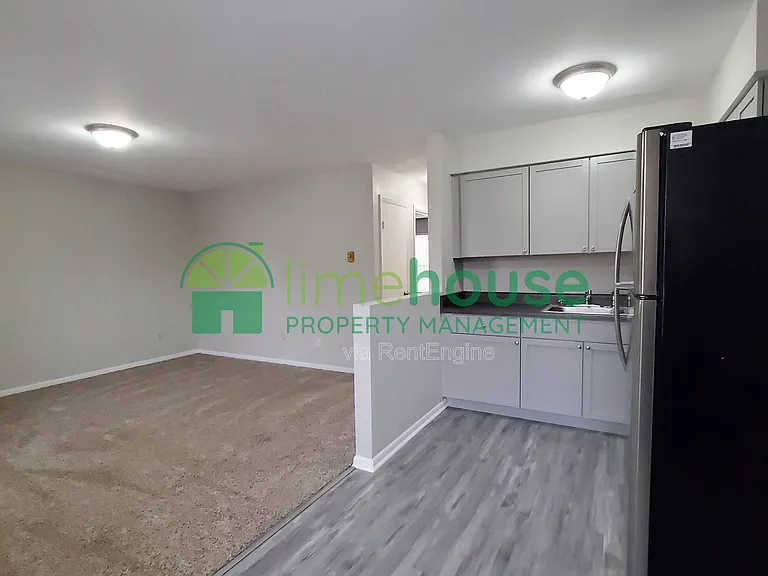 9117 Chesapeake Blvd #4 — Photo 4