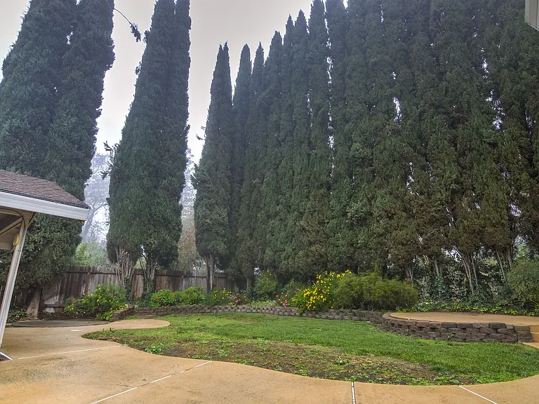 5123 El Cemonte Ave — Photo 11