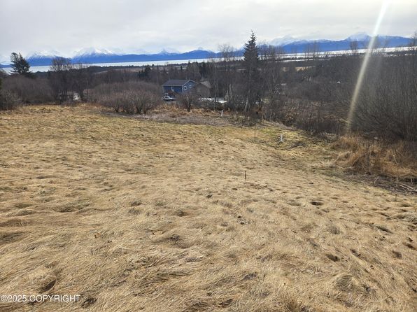 2085 Jakes Little Fireweed Ln, Homer, AK 99603