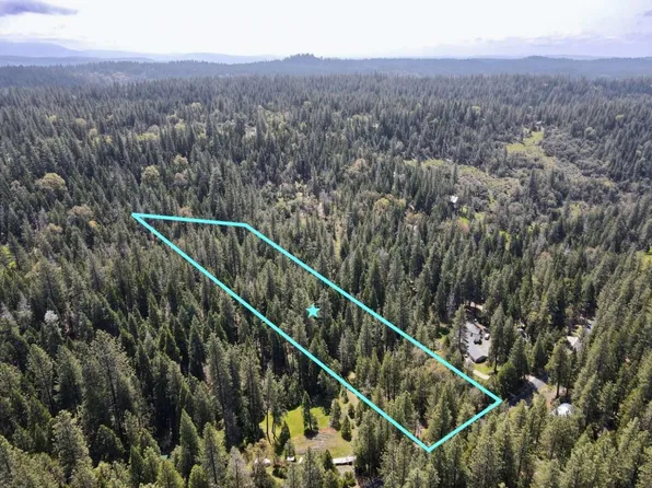 20080 Pine Dr W, Volcano, CA 95689
