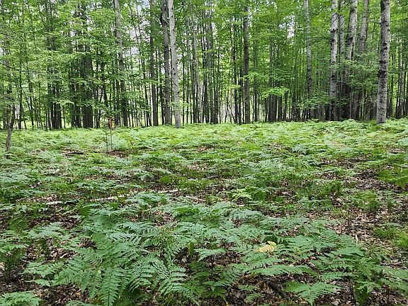 3rd image of 2751 Boughner Lake Rd