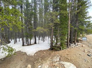 0 Lower Forest Rd, Idaho Springs, CO 80452