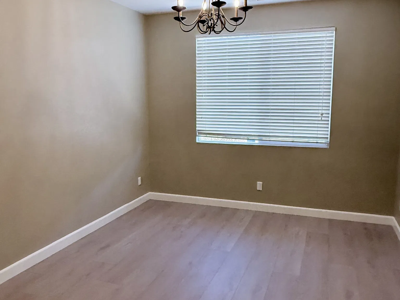 3005 Cat Tail Court - 1 — Photo 4