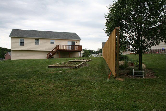 Partial backyard photo