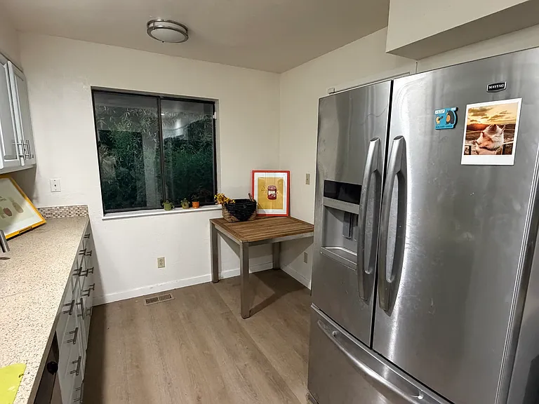 Kitchen Fridge and Amenities