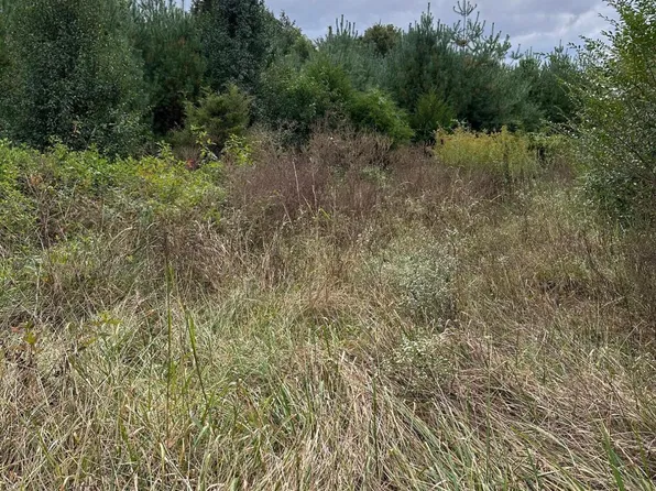 LOT 1 Us Highway 411 S, Greenback, TN 37742