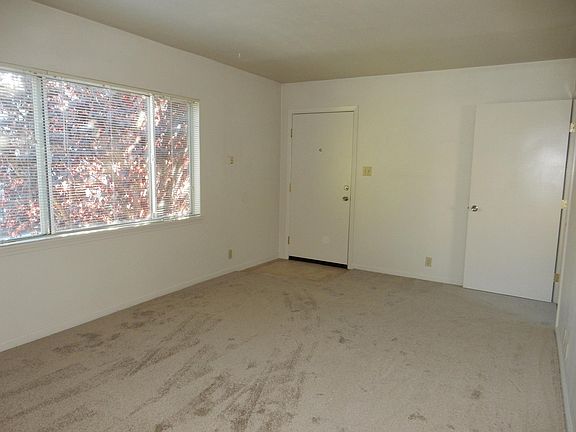 Brand new carpet in living room