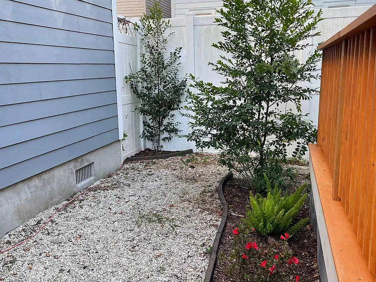 Backyard space
