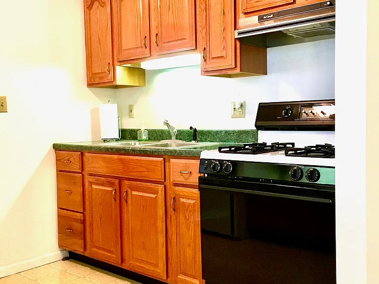 Efficient kitchen with stove and hood and well lit sink.