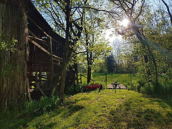 Barn facing pasture