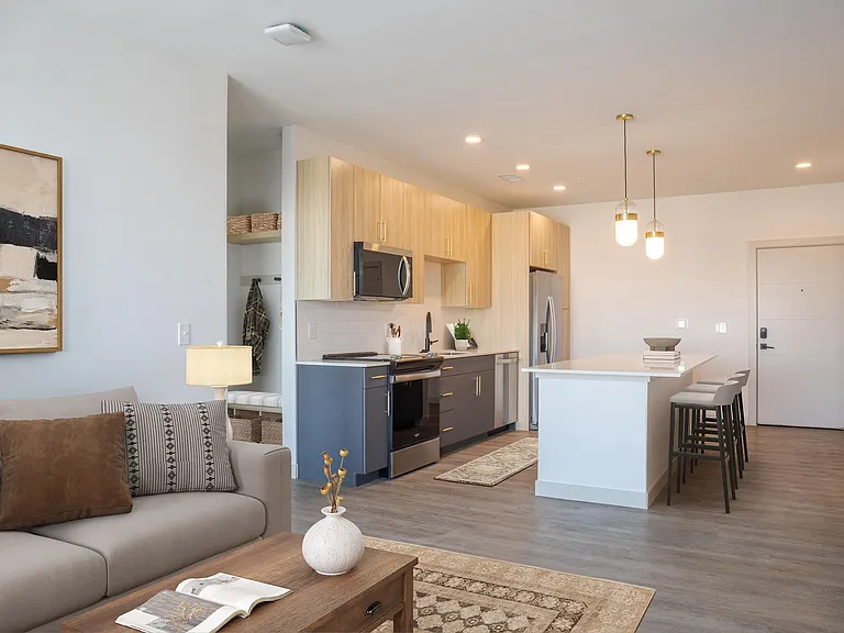 Living Room and Kitchen
