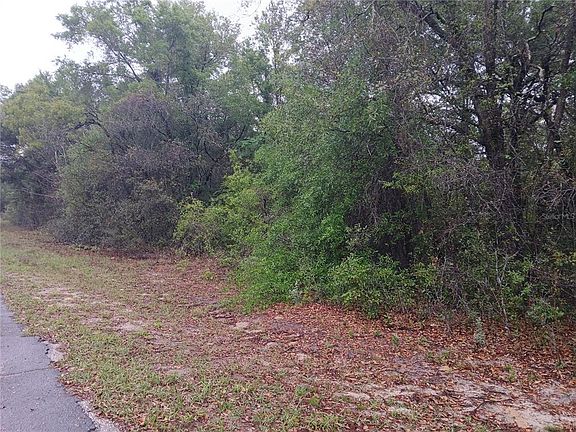 2nd image of 7851 N VINCE DRIVE LOT 14