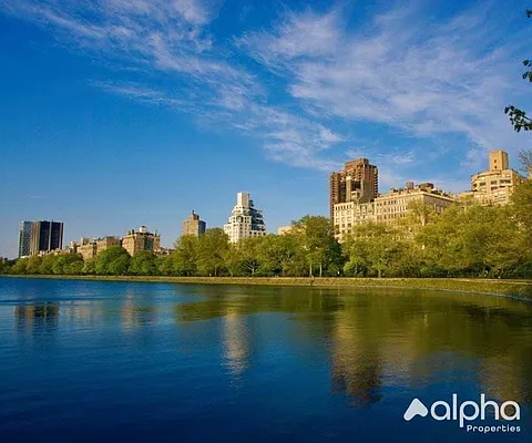 Rented by Alpha Properties NYC I LLC | media 1