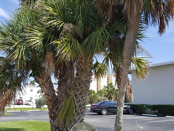 2nd image of 3601 Ocean Beach Blvd APT 6