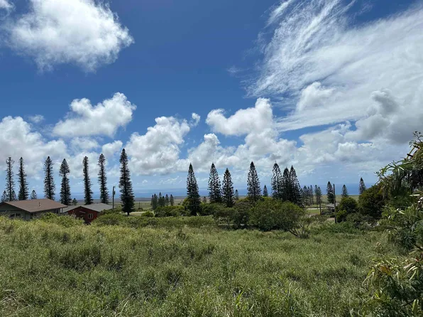 LOT 461 Linohau Pl, Maunaloa, HI 96770
