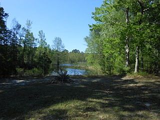 5th image of 152 Tejas Dr W