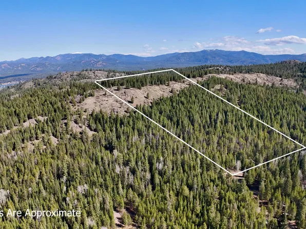 223 Antler Ln, Newport, WA 99156