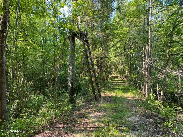 0 Davidson Rd, Walnut Grove, MS 39189