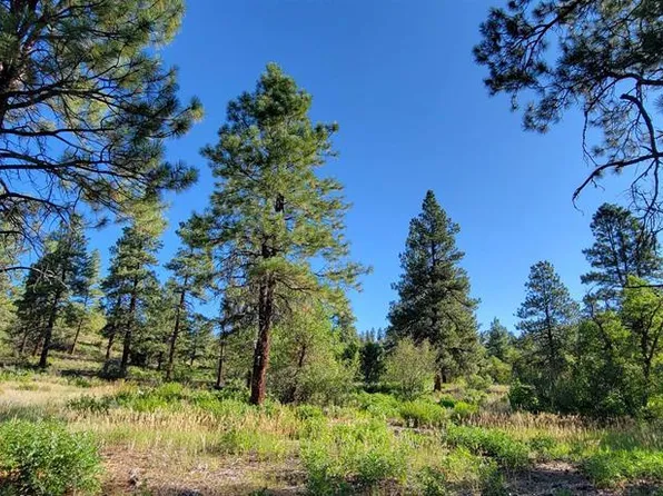 Lot 8 Beaver Creek Ranch Dr, Bayfield, CO 81122