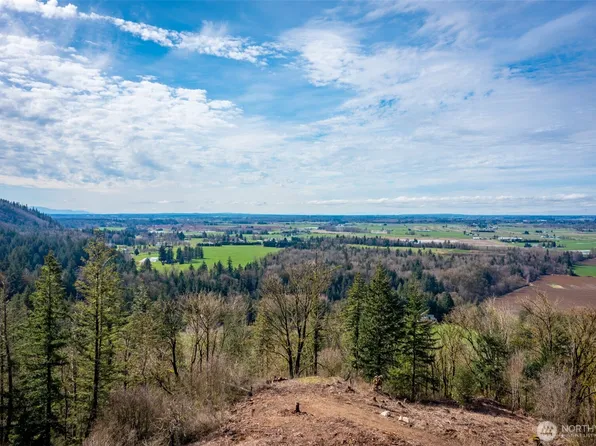 48 XX Reese Hill Road, Sumas, WA 98295