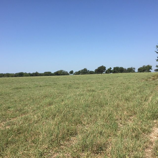 2nd image of 410 Higgins Rd