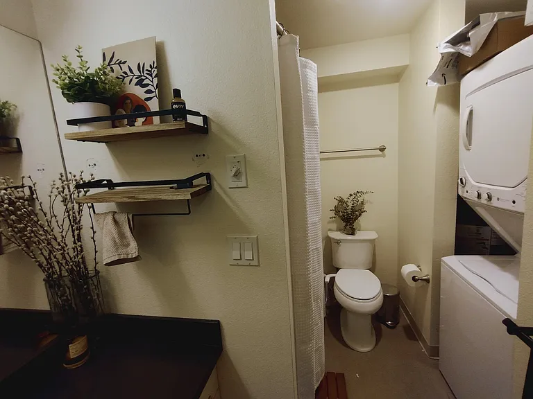 Lower Level Bathroom with Washer and Dryer