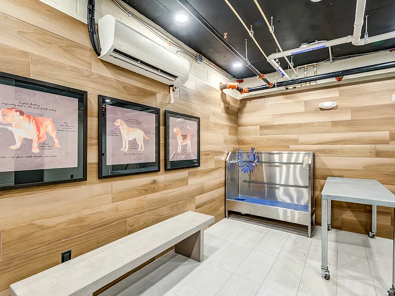 Dog Wash Station