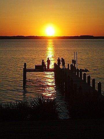 Backyard Sunset view