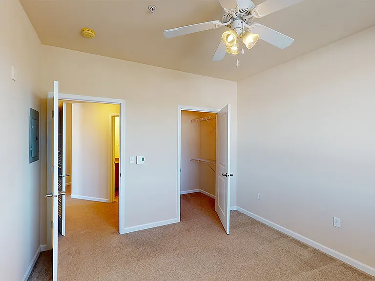 Spacious apartment bedroom with large closet and plush carpet flooring.