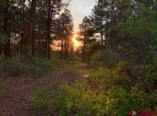 199 Meadow Lane, Ridgway, CO 81432