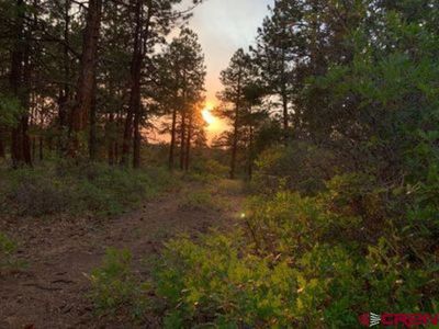 199 Meadow Lane, Ridgway, CO, 81432