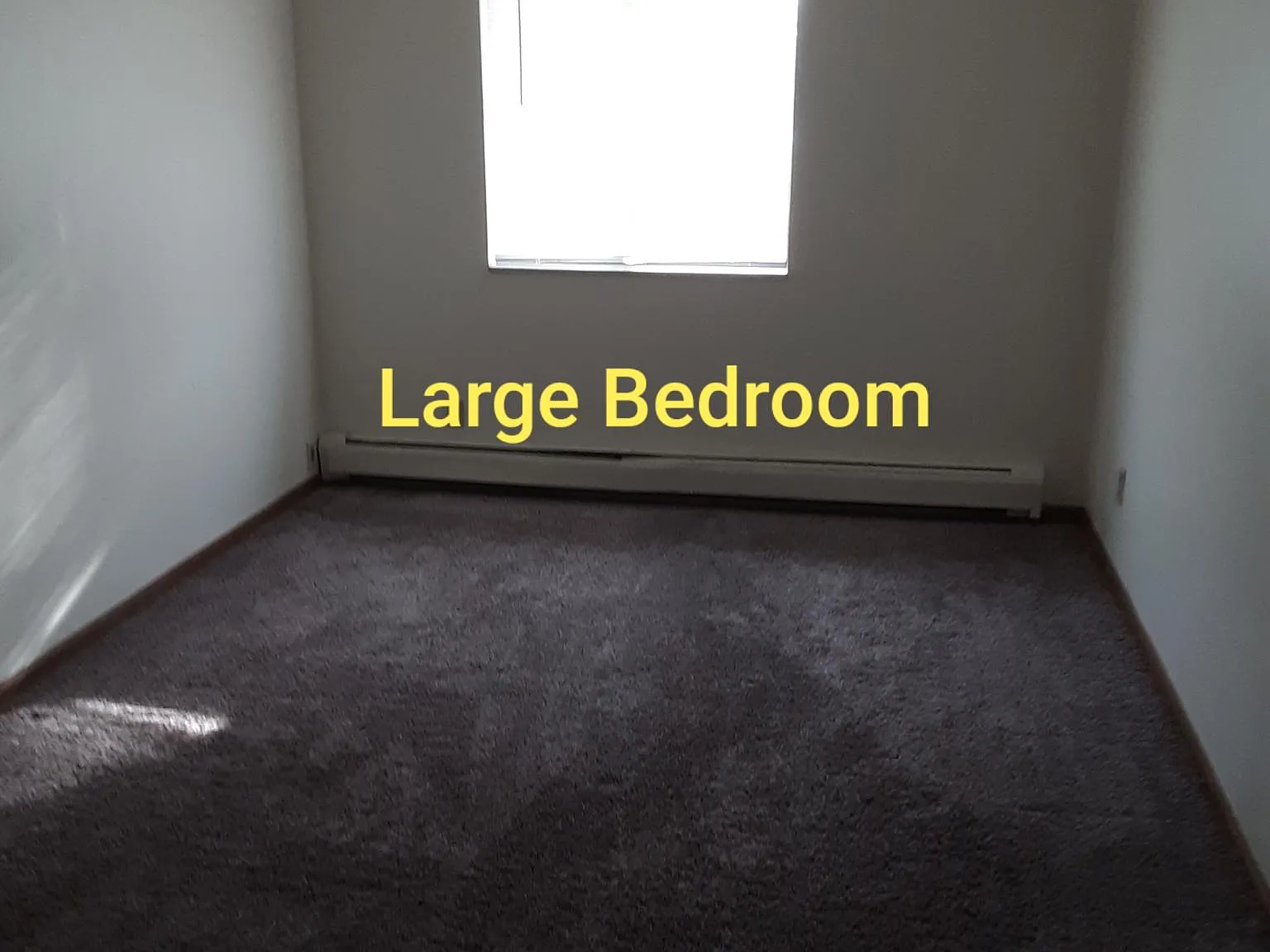 2 bed, 800 sqft, $1,075 — Photo 3