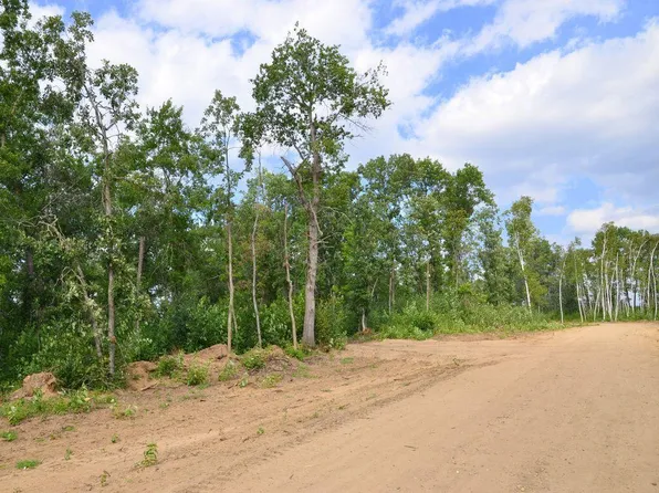 Xxx Firewood Trl, Park Rapids, MN 56470