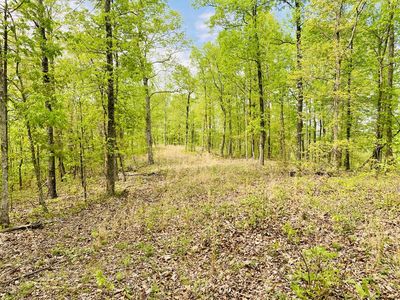 47 Ridge Top Rd, Stewart, TN, 37175