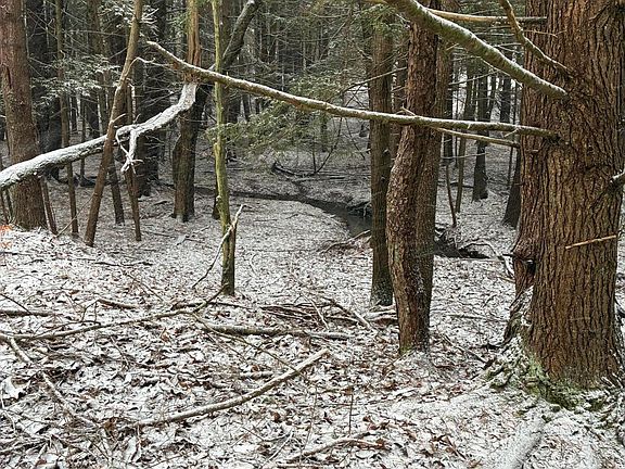 5th image of State Route 2001 Rattlesnake Rd